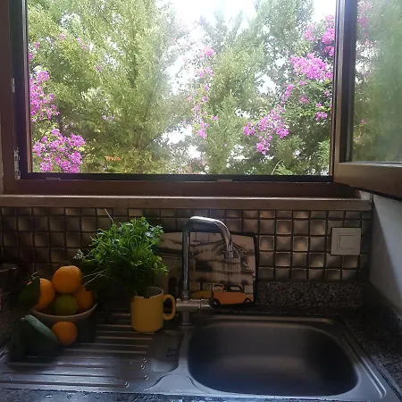 Little Paradise Apartament Kemer