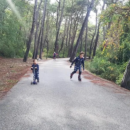Little Paradise